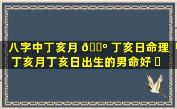 八字中丁亥月 🌺 丁亥日命理「丁亥月丁亥日出生的男命好 ☘ 吗」